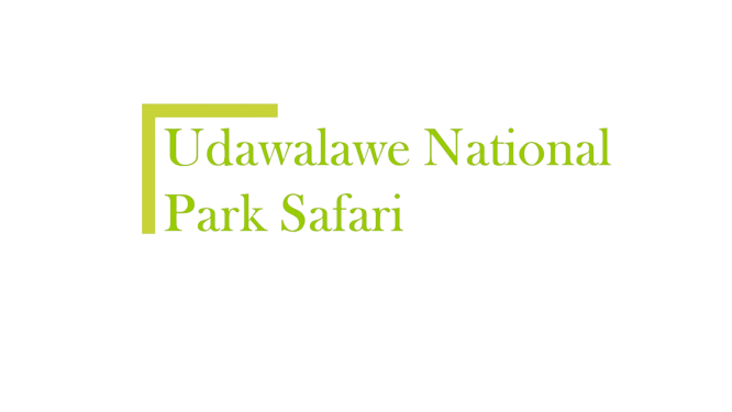 Udawawalawe National Park Safari New logo resized